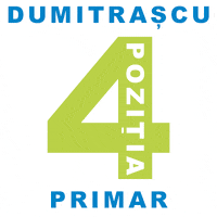 N20 Votat GIF by PMP Năvodari