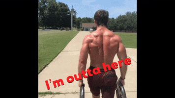 Just Better Daily GIF