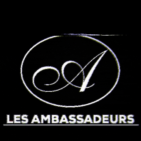 Les Ambassadeurs Avignon GIF