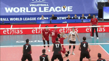 Down The Line Belgium GIF by Volleyball World