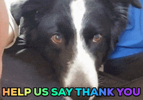 200.gif?cid=fc005b080753f514c2df6762390e18b89ceeed4aaccb4cdb&rid=200.gif&ct=g