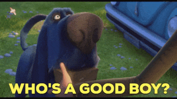 Well Done Hug GIF by The Animal Crackers Movie