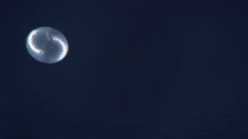 Alphabet GIF