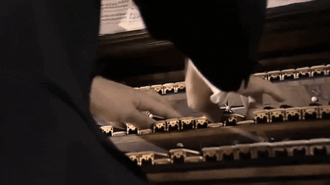 Js Bach GIFs - Find & Share on GIPHY