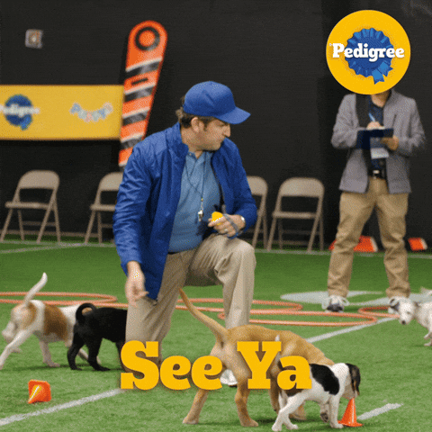 Dog Food GIF by PEDIGREE US