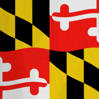 State Flag GIF by Anne Arundel Community College