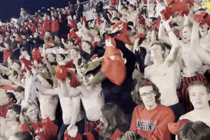 Celebrate Nippert Stadium GIF by Bearcat