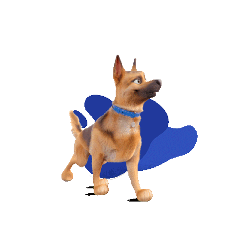 Chile Somospley Sticker by Champion Dog Proa