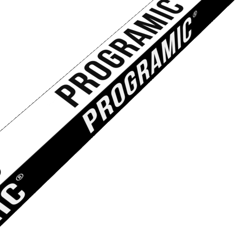 Software Development Design Sticker by Programic