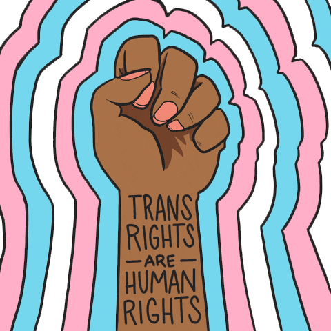 Lgbt Rights Are Human Rights Animation LGBT Rights Are Human Rights by INTO ACTION | GIPHY