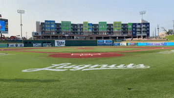 forrest gump michigan GIF by Lansing Lugnuts