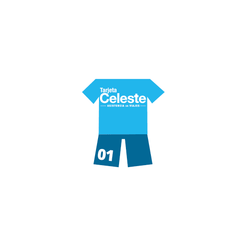 America Uruguay Sticker by Tarjeta Celeste