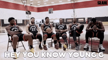 Raptors GIF