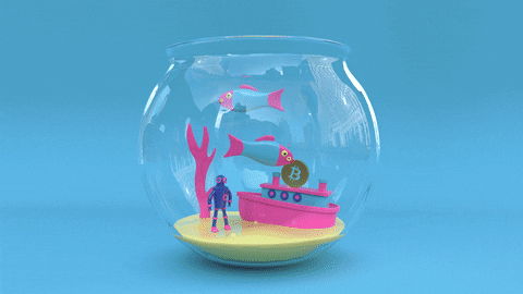 randomgif