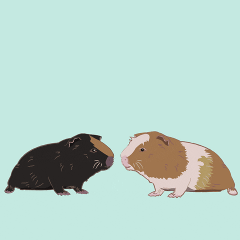 Stanley And Kevin GIFs - Get the best GIF on GIPHY
