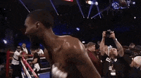 Float Like A Butterfly Sting Like A Bee Gifs Get The Best Gif On Giphy