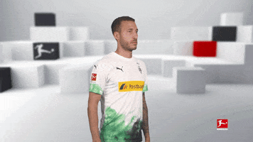 Posing Line Up GIF by Bundesliga
