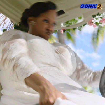 Wedding Dress GIF by Sonic The Hedgehog