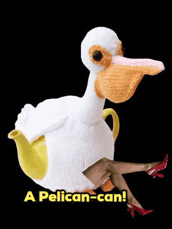 You Can Pelican GIF by TeaCosyFolk