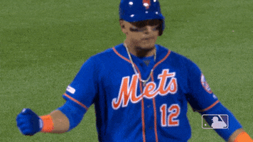 excited lets go GIF by New York Mets