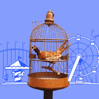 200.gif?cid=fc005b083c056b832990760651a34ed59928ee71fd8c4742&rid=200.gif&ct=g