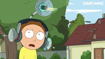 Season 3 Episode 308 GIF by Rick and Morty