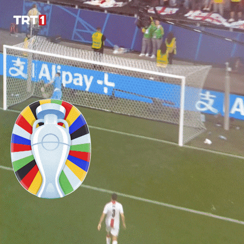 Euro 2024 Football GIF by TRT