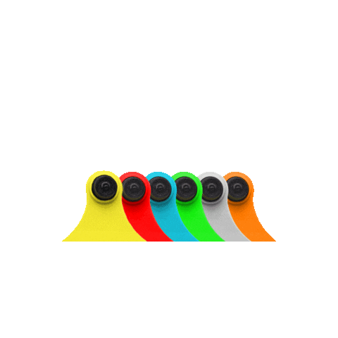 Allflex Brasil Sticker