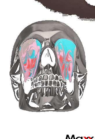 Sticker by Maxx Yatırım