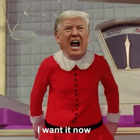 United States Usa GIF