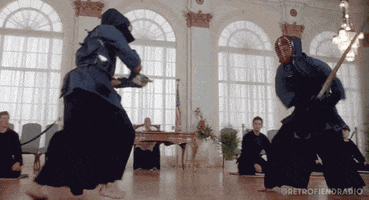 Martial Arts Cinema GIF by RETRO-FIEND