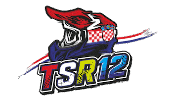 Team Silber Sticker by HMKO