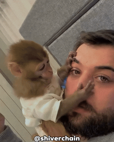 What The Hell Wow GIF