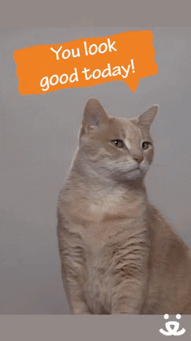 Happy Love You GIF by Best Friends Animal Society