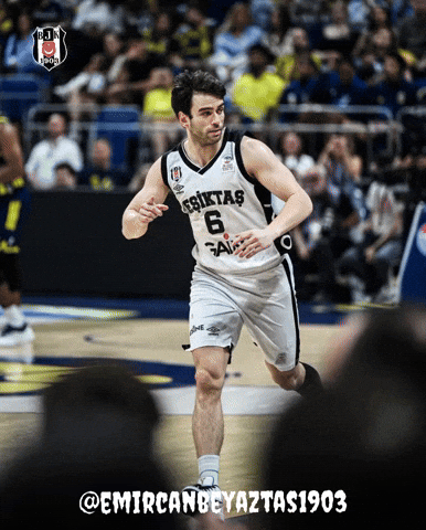 Beşiktaş Basketbol GIF