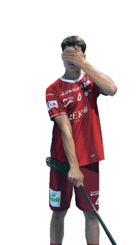 Unihockey Ritz Sticker