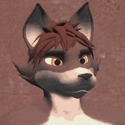 Wtf GIF