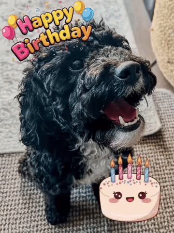 Celebrate Happy Birthday GIF