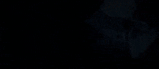 Jungkook GIF
