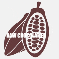 Food Cacao GIF by raw chocolatier