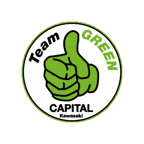 Team Green Kawasaki Sticker by Ride MB Garage