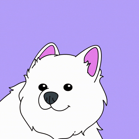 Reaction GIF