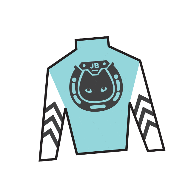 Horse Racing Sticker by Kentucky Derby