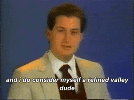 joshuaheller valley sfv 818 refined valley dude GIF