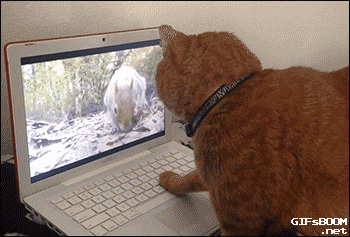 giphy.gif?cid=8fc3c897ddd7bbe529d8dbe50bedfa36321efb1050be7ffb&rid=giphy.gif