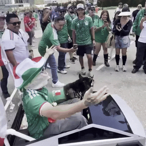 World Cup Soccer GIF by SWAGGY WOLFDOG