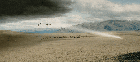 The Lord Of The Rings GIF by Maudit