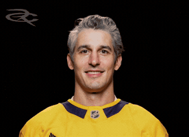 Nashville Predators GIF by Respective