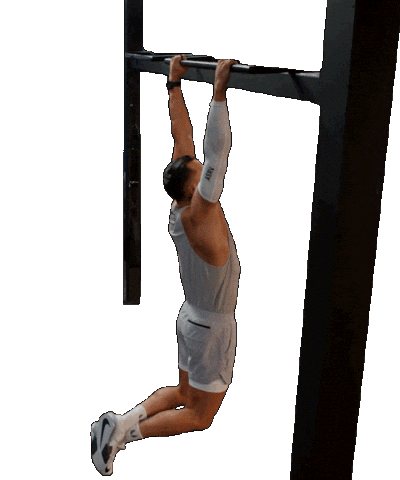 Fitness Workout Sticker by BODi