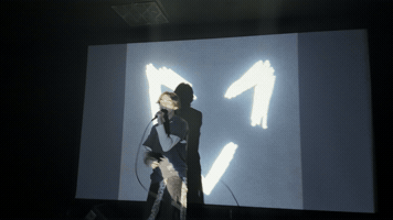 Fox Haynes GIF